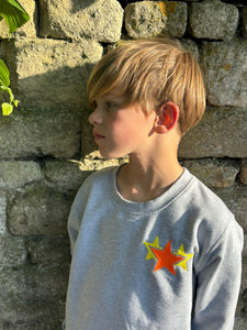 Children grey sweatshirt